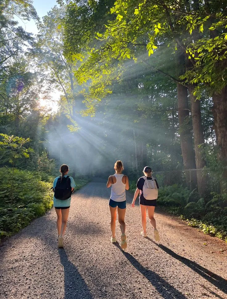 Friends walking a forest trail in morning light